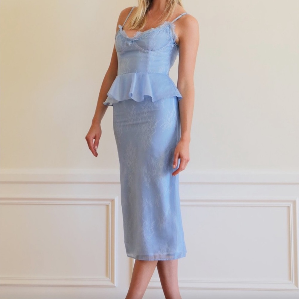 NWT v chapman vivi dress in brunnera blue